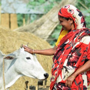 Donate To Livestock Support