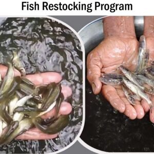 Fish Restocking Program