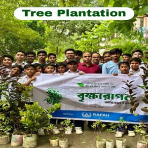 Tree Plantation