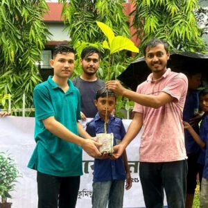 Tree Plantation
